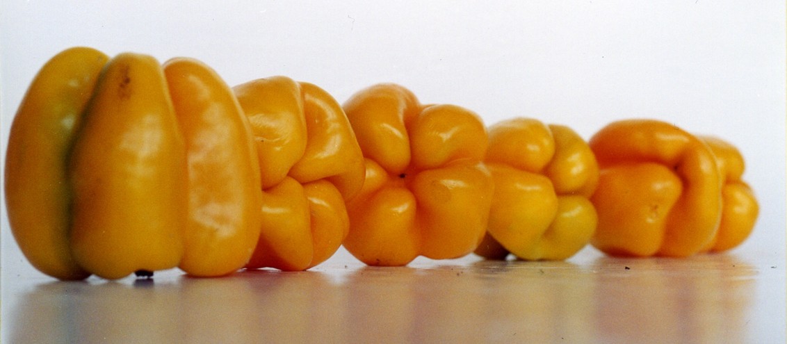 126-98367f891f